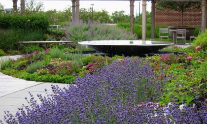 È primavera, nuovo look per 4 parchi Giardino degli abbracci al Triangolo