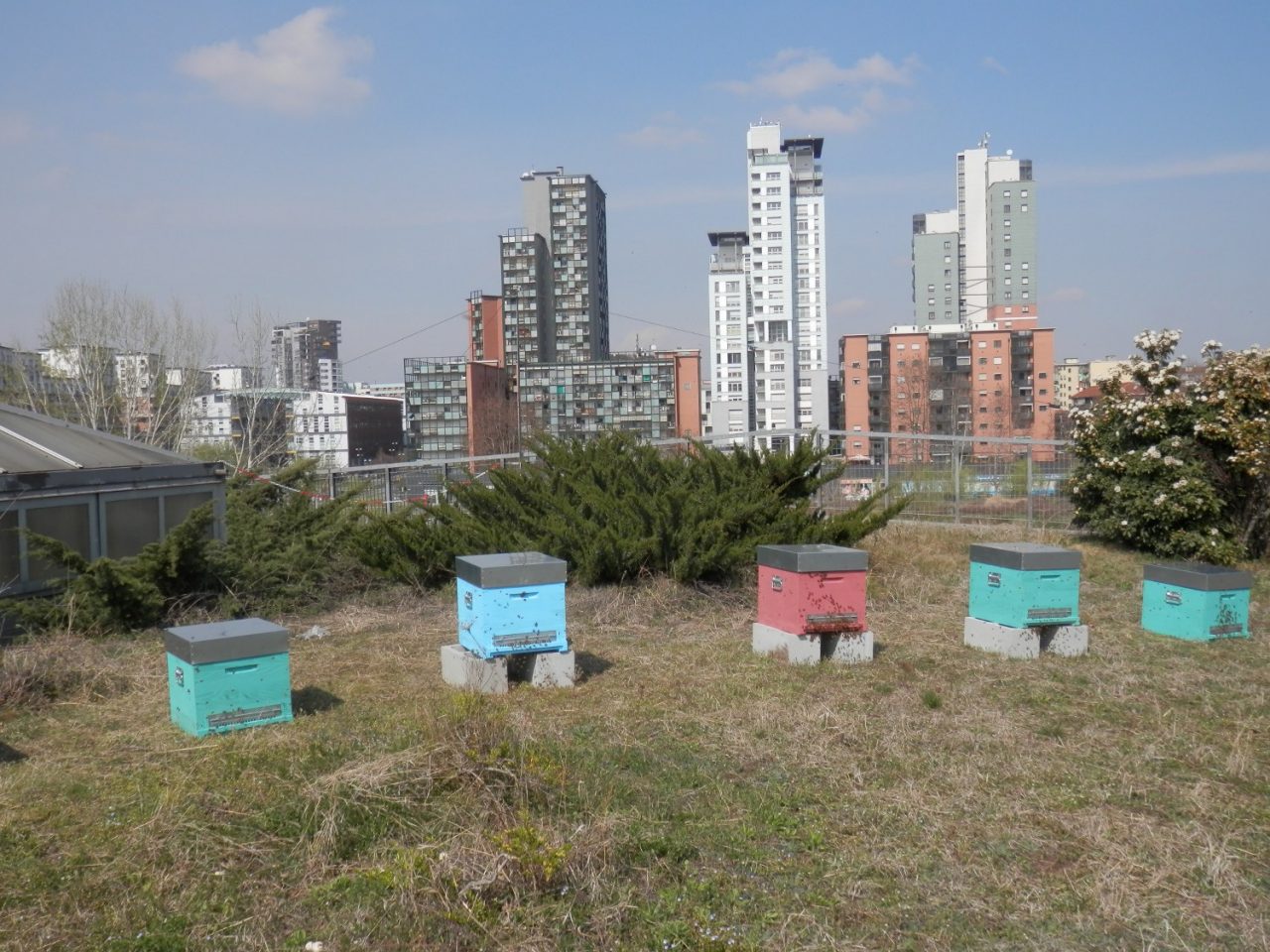 Alveari di api al centro Le Due Torri Custodi del rispetto dell’ambiente