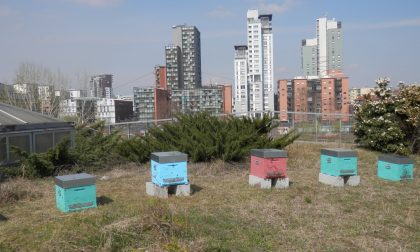 Alveari di api al centro Le Due Torri Custodi del rispetto dell’ambiente