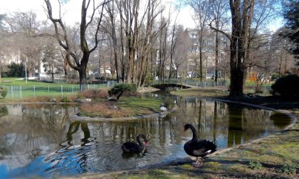 Il parco Turani e il parco Locatelli chiusi la prossima settimana per le potature