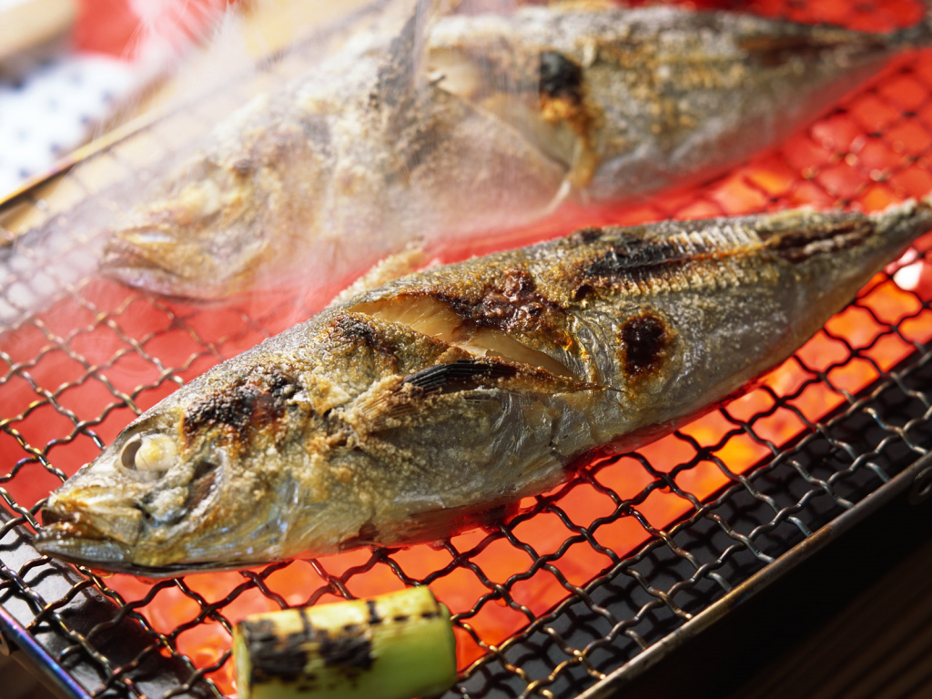 grilled fish