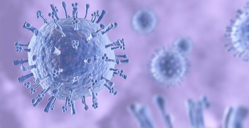 Il raffreddore ha i giorni contati In arrivo un rimedio universale