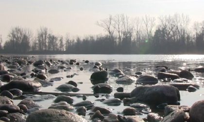 La terra del Nord Italia soffre la sete