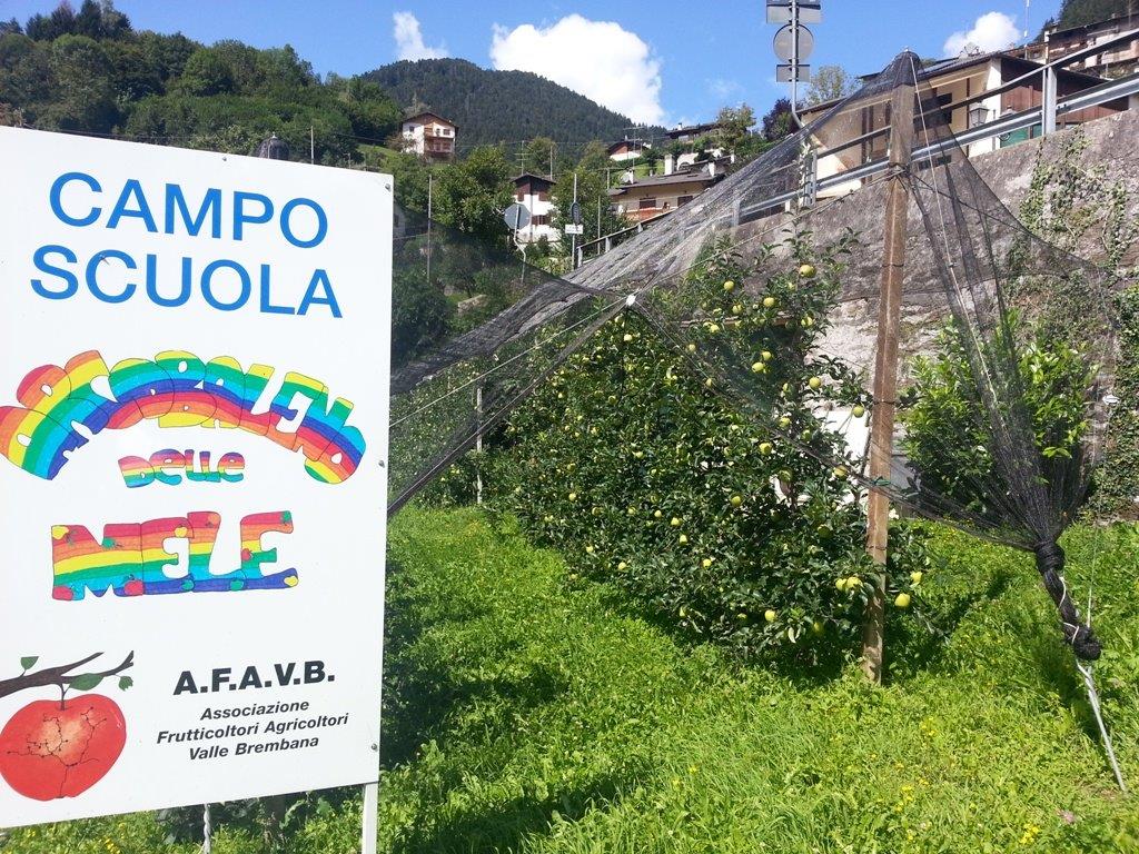 Campo Scuola Moio de' Calvi