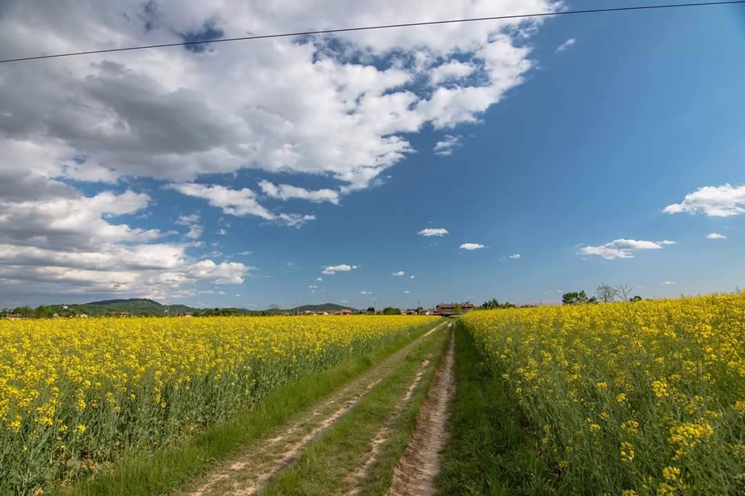 L’Agro di Almenno – Luca Caslini