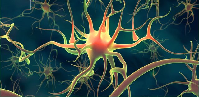 Scoperti i neuroni della calma (basta respirare, come nello yoga)