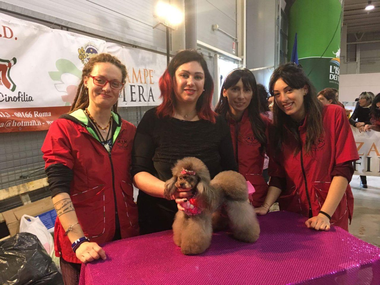 Irma, la hair stylist bergamasca che pettina i cani di tutta Italia