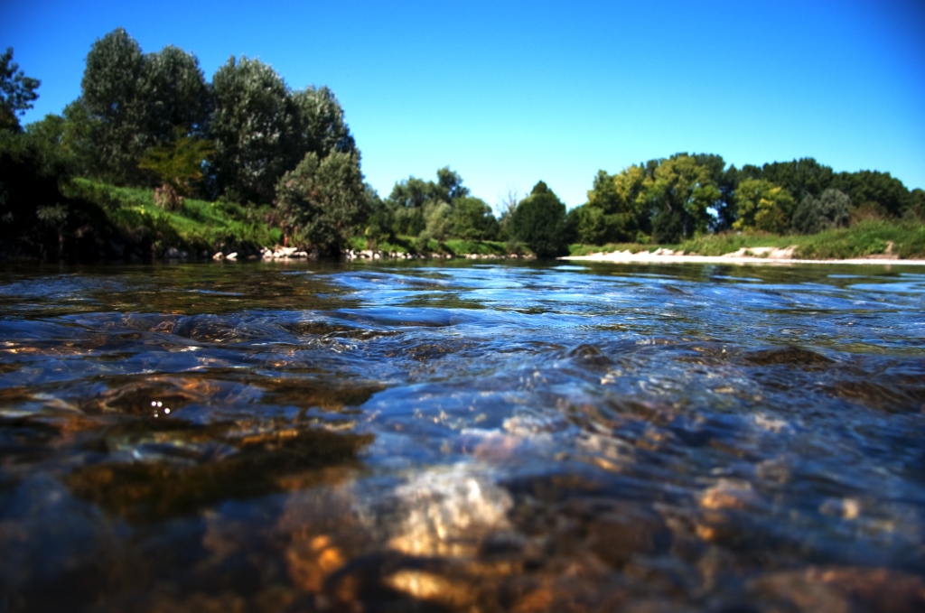 Salviamo l’oasi delle oche di Alzano