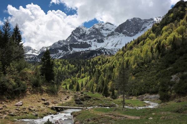 Valcanale – Francesco