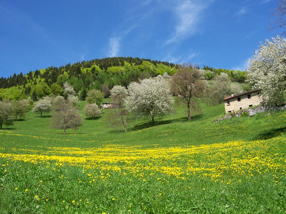 Il weekend nelle valli orobiche #12 Tutti gli eventi da non perdere