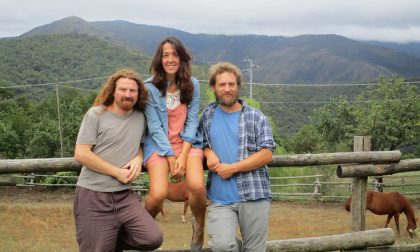 I mercoledì acustici del Goisis Dry & Dusty, musica al whiskey