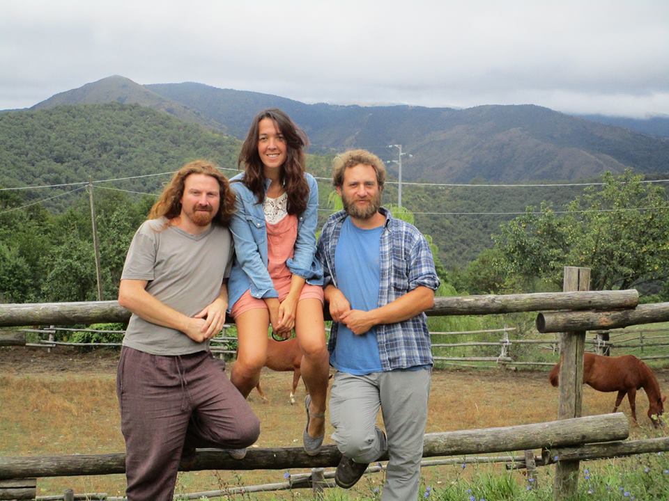 I mercoledì acustici del Goisis Dry & Dusty, musica al whiskey