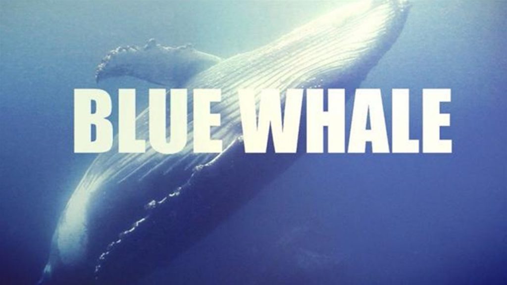 Quant’è pericolosa la Blue Whale Genitori, siate presenti e attenti
