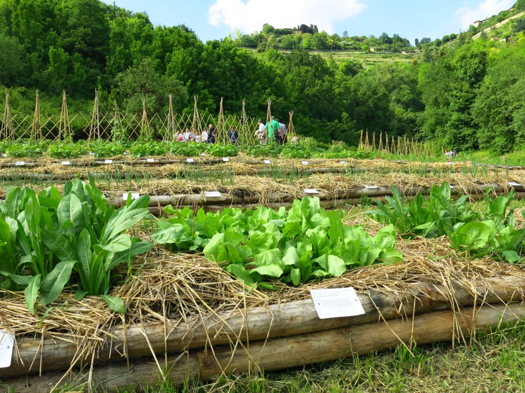 Astino tra aperitivi veg e dolcetti bio Arriva Sweet Irene all’orto botanico