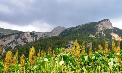 La Valle Brembana è più vicina questa estate: doppia coppia di corse nei giorni festivi