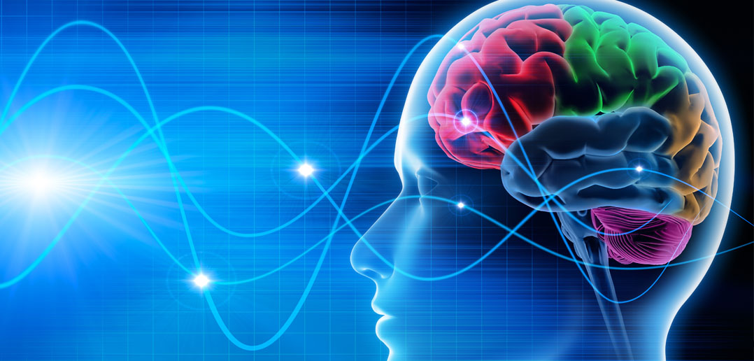 Come mantenere il cervello in forma