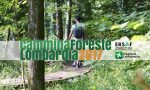 Alla scoperta delle foreste lombarde con quattro tappe in terra orobica