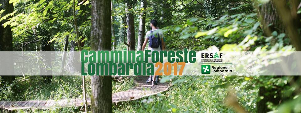 Alla scoperta delle foreste lombarde con quattro tappe in terra orobica