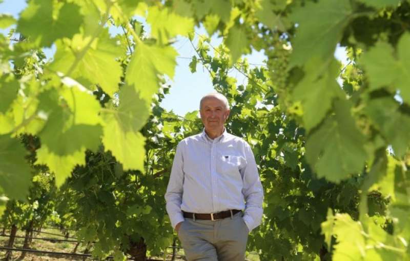 Storia (e rivincita) del Tavernello che s’è “bevuto” Amarone e Brunello