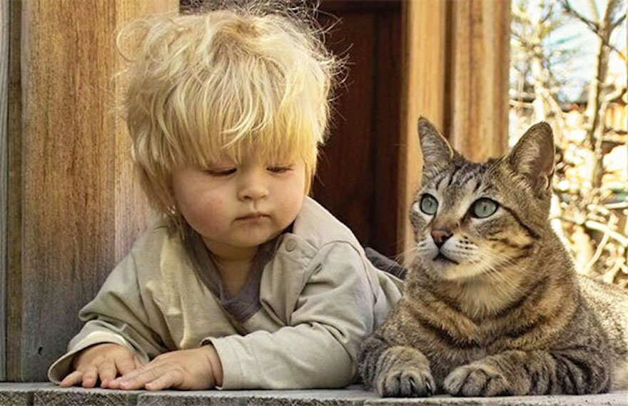 Cane e gatto sono antistress ideali per i piccoli umani di casa