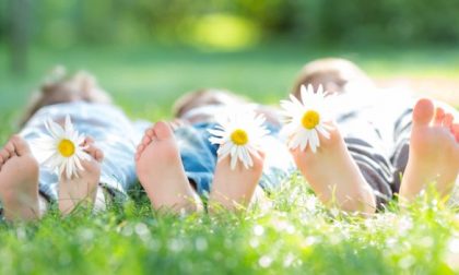 I bambini hanno finito la scuola Piccolo manuale di sopravvivenza