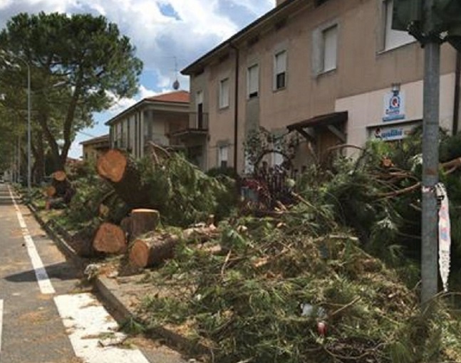 Dalmine deve cavarsela da sé Niente fondi per il nubifragio