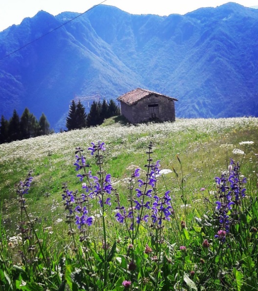 Val Brembana – Cri