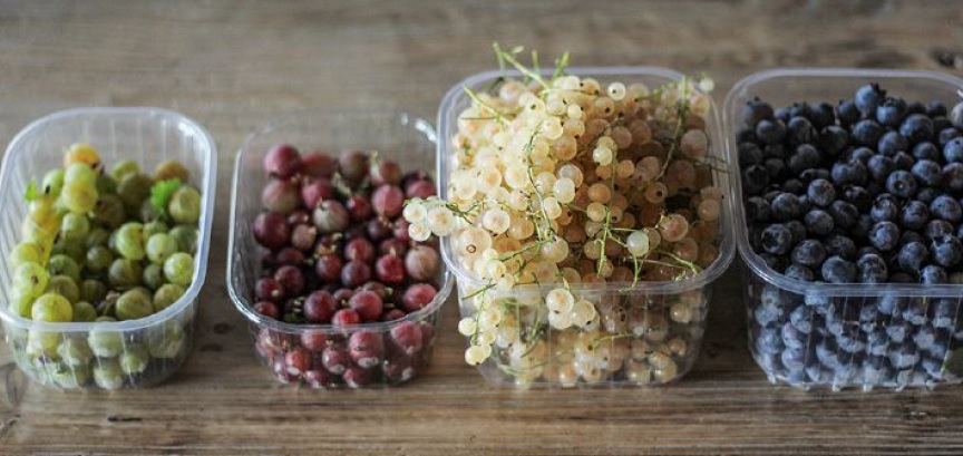 I piccoli frutti di Beatrice Arrigoni Meraviglie bio in Val d’Astino