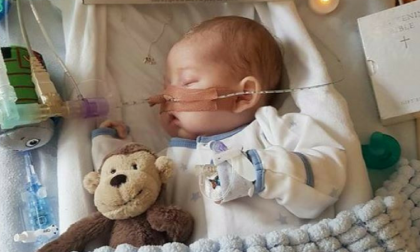 Un po' di verità per Charlie Gard