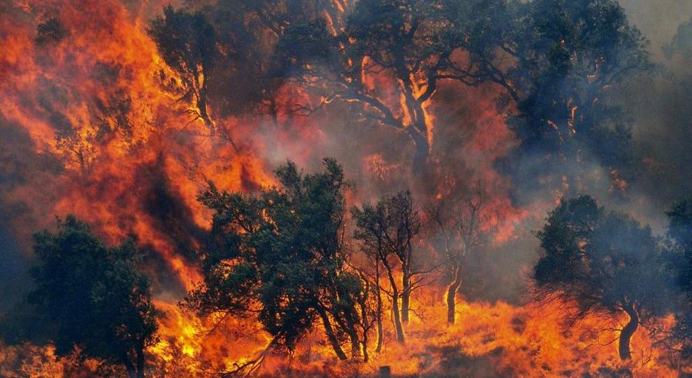 Cinque notizie che non lo erano Tante sugli incendi di questi giorni