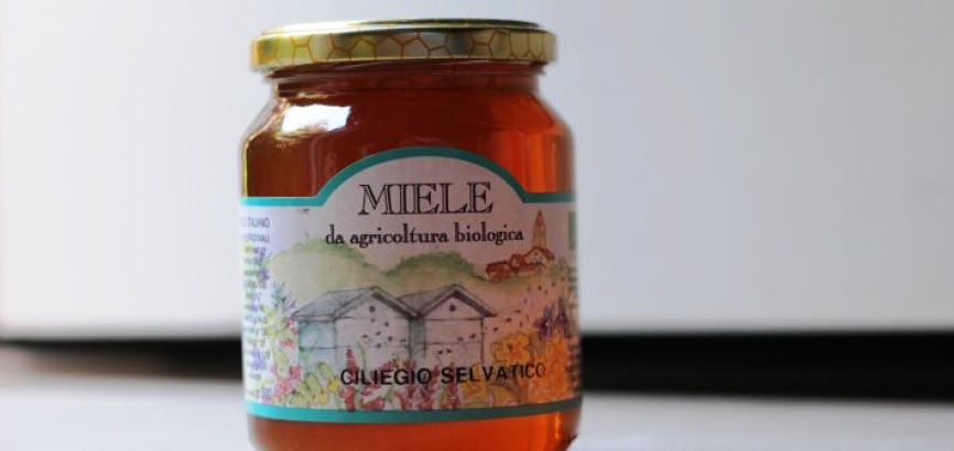 Miele ottimo, biologico da sempre Da L’Alveare, ai piedi di Fontanella