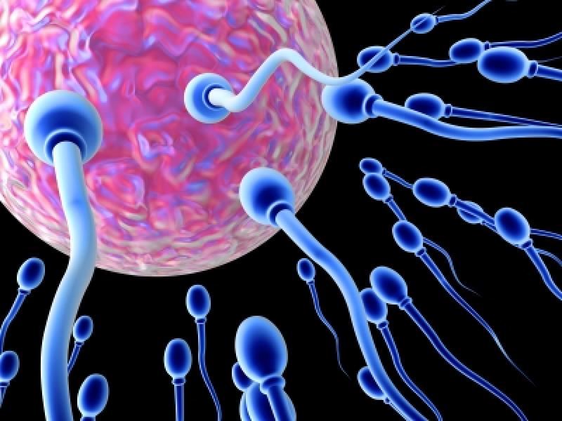Com’è che al maschio italiano si sono dimezzati gli spermatozoi