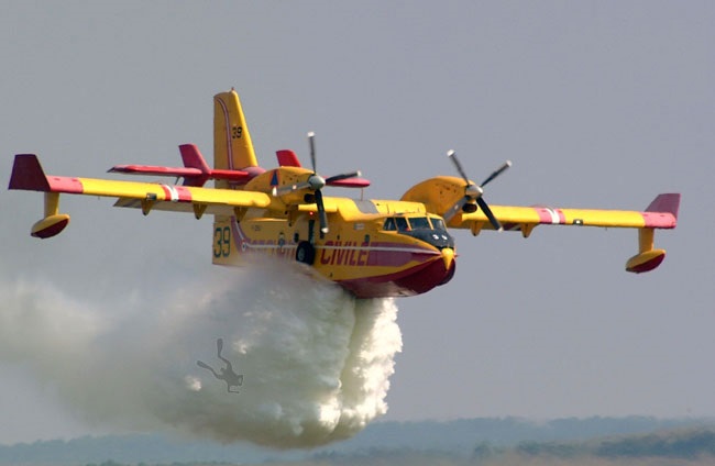 Cinque notizie che non lo erano Tipo il sub pescato dal Canadair