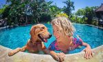 Per tutti quelli in vacanza col cane Ecco le destinazioni migliori