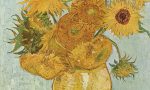 I cinque Girasoli di Van Gogh per la prima volta radunati insieme