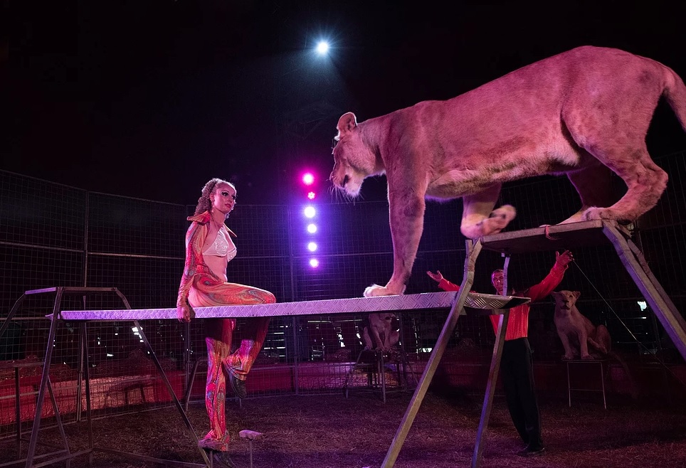 Due circhi a fine agosto, insieme (non era mai successo a Bergamo)