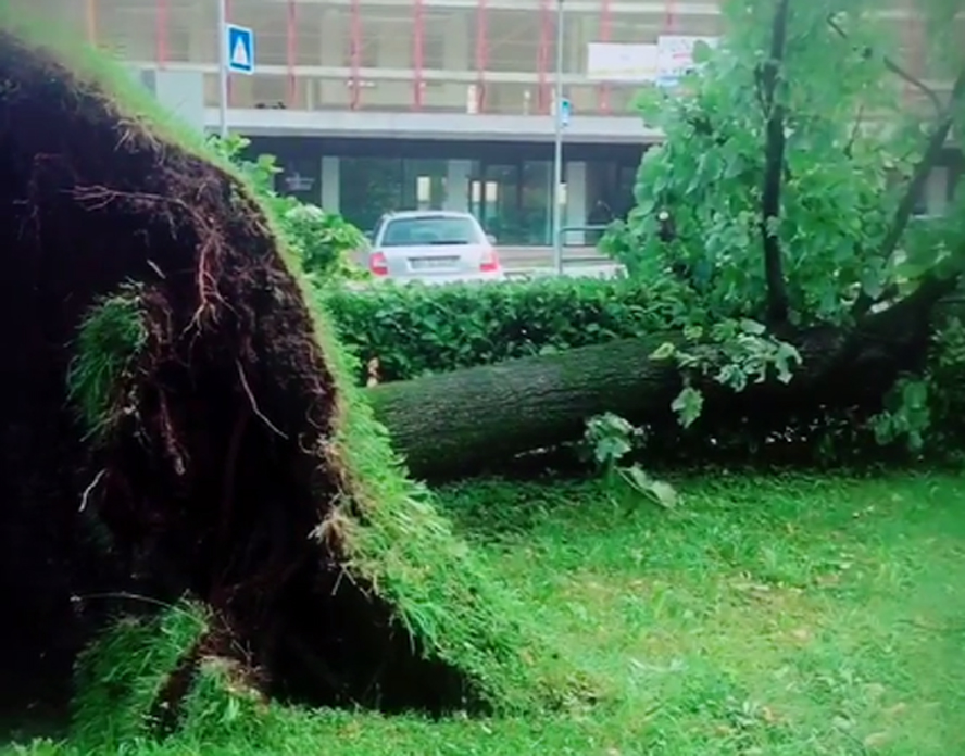 Notizie su Bergamo e provincia (14-19 agosto 2017)