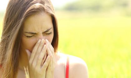 Le 5 allergie più diffuse in estate Un buon metodo per prevenirle