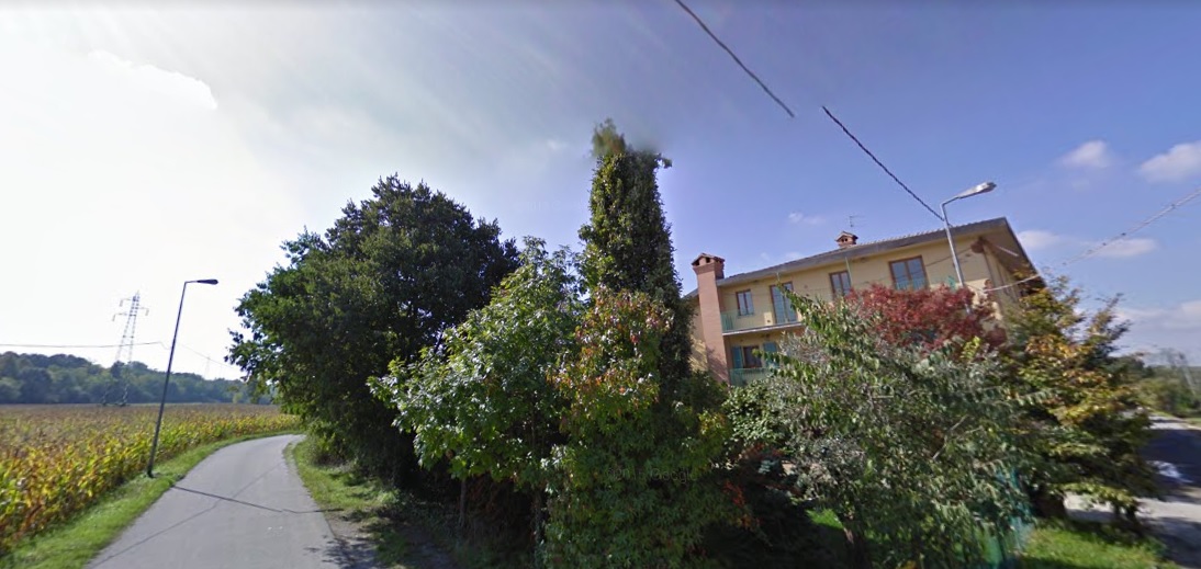 Dalmine, le mucche rifiutano il fieno inquinato dalla fogna