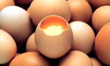Cinque rassicuranti motivi per continuare a mangiar uova