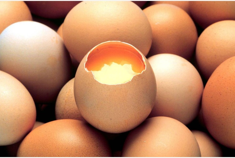 Cinque rassicuranti motivi per continuare a mangiar uova