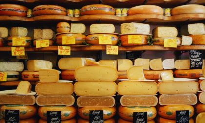 Cheese 2017, 8 formaggi da provare