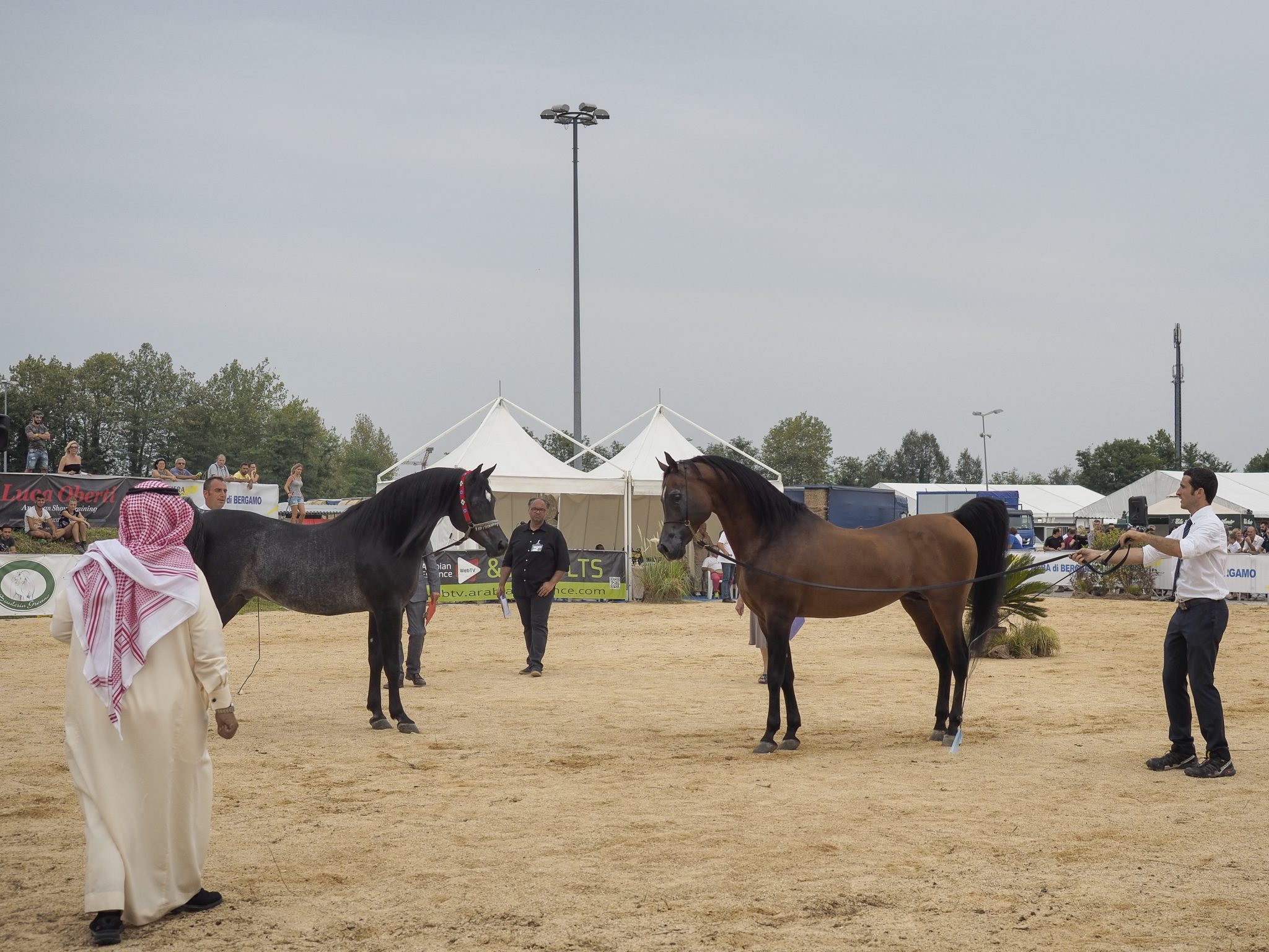 Concorso arabi_9044046
