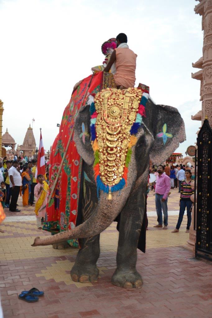 Elefante al Poicha Temple