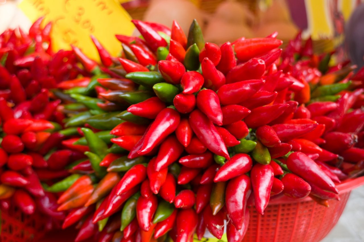 PiCa festival, Città Alta piccante Quattro giorni di fuoco (e canapa)