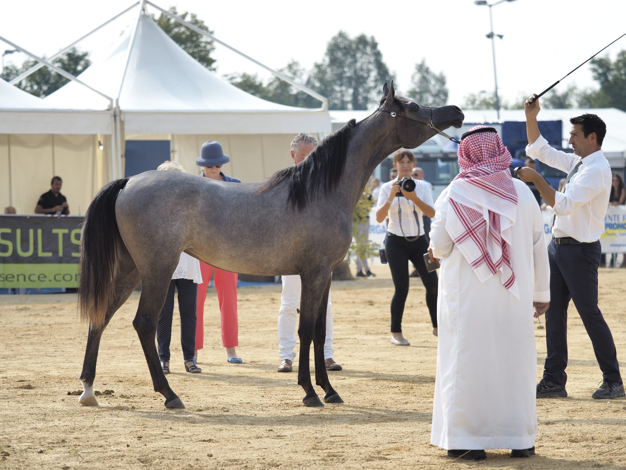 concorso arabi_9031830