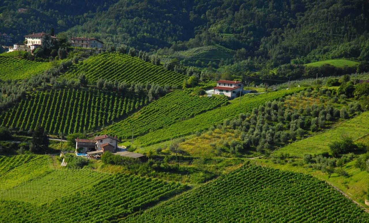 Il weekend nelle valli orobiche #25 Tutti gli eventi da non perdere