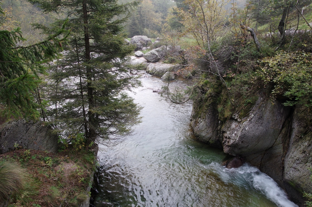 1 - Autunno - Il torrente Goglio