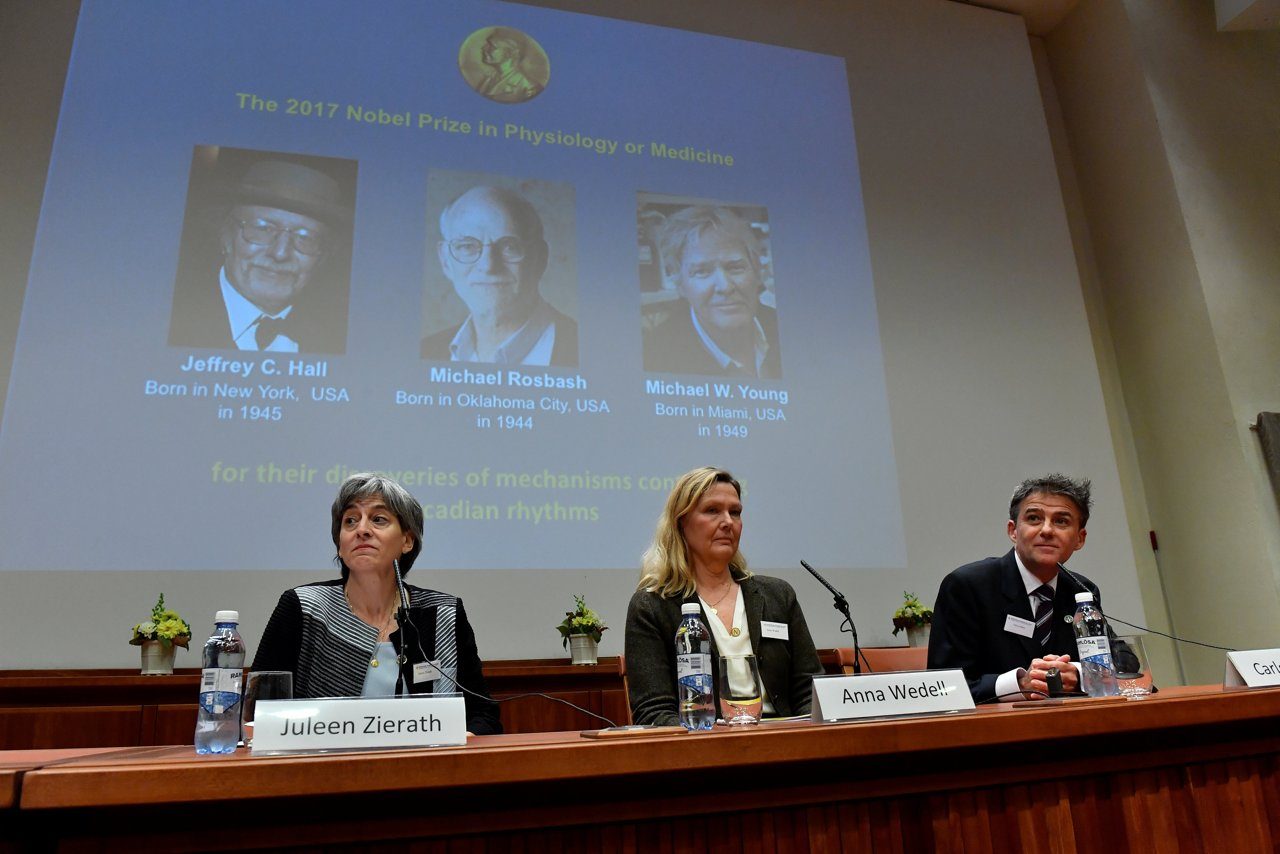 Che cos’hanno scoperto di preciso i tre nuovi Nobel per la Medicina