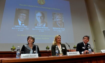 Che cos'hanno scoperto di preciso i tre nuovi Nobel per la Medicina